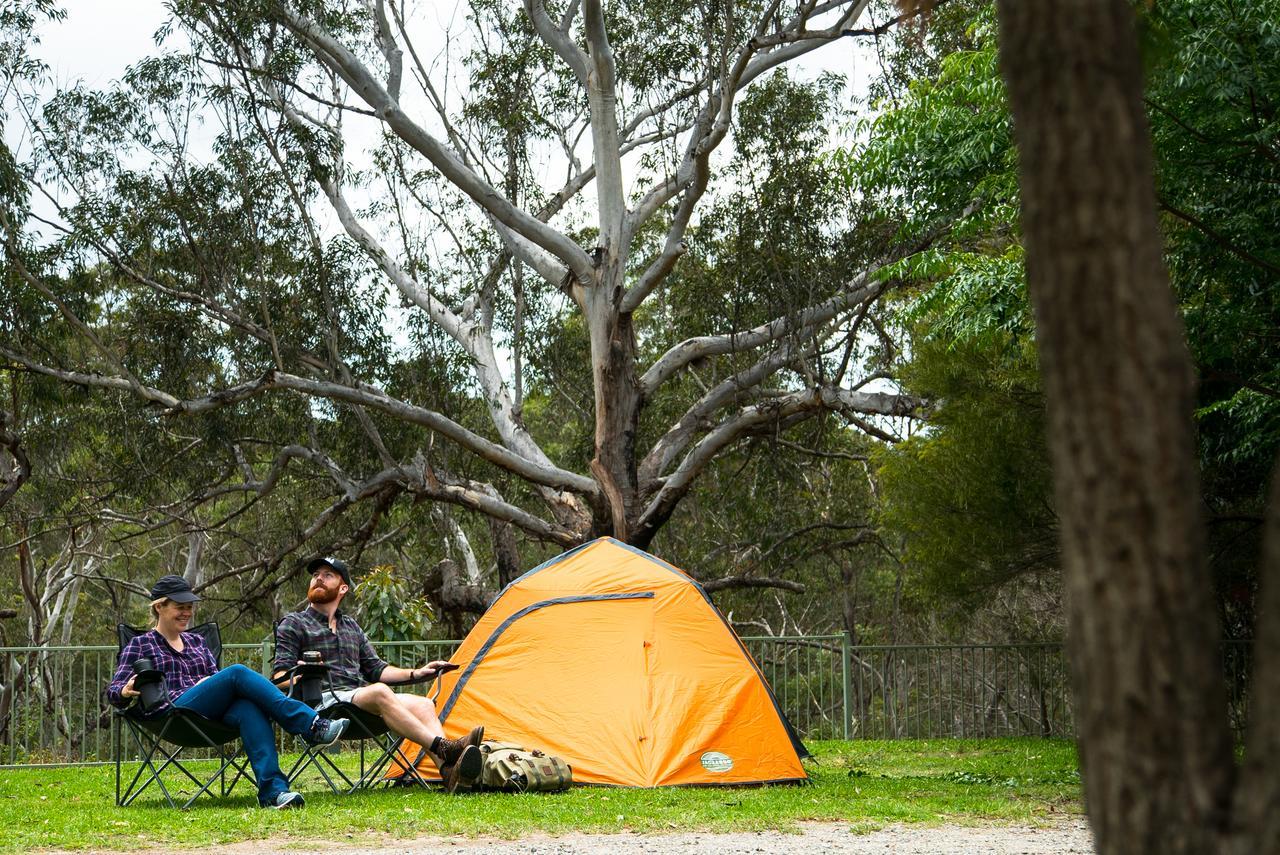 Discovery Parks - Lane Cove Σίδνεϊ Εξωτερικό φωτογραφία