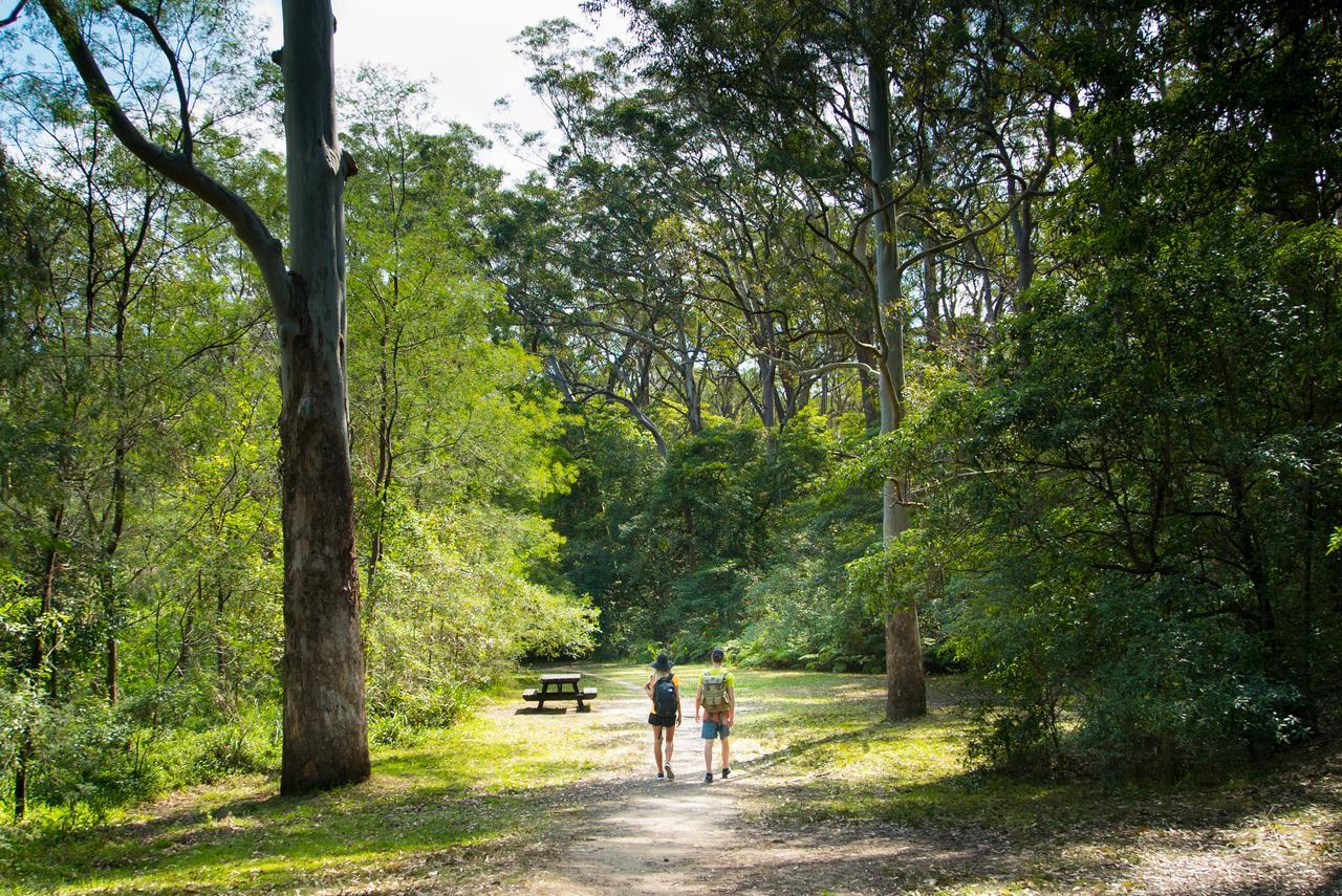 Discovery Parks - Lane Cove Σίδνεϊ Εξωτερικό φωτογραφία