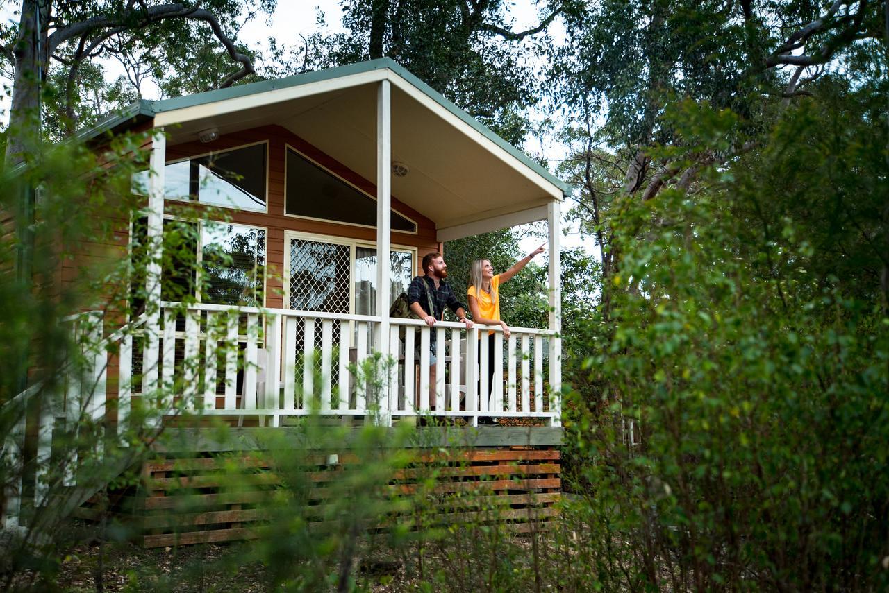 Discovery Parks - Lane Cove Σίδνεϊ Εξωτερικό φωτογραφία