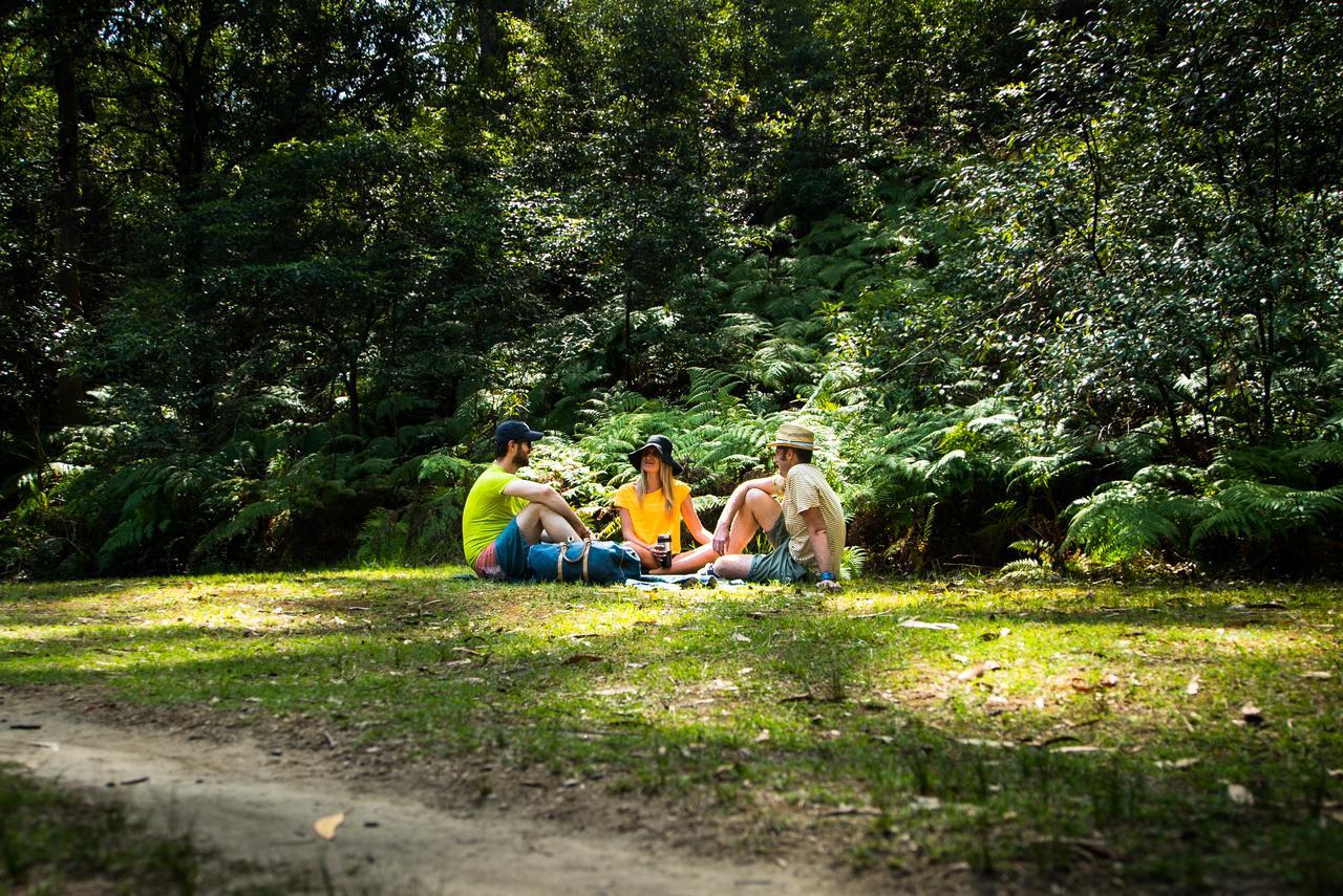 Discovery Parks - Lane Cove Σίδνεϊ Εξωτερικό φωτογραφία